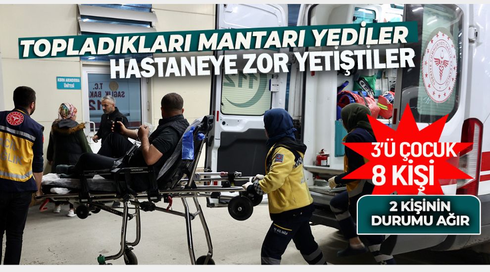 AMAN DİKKAT. MANTARDAN ZEHİRLENMELER ARTTI