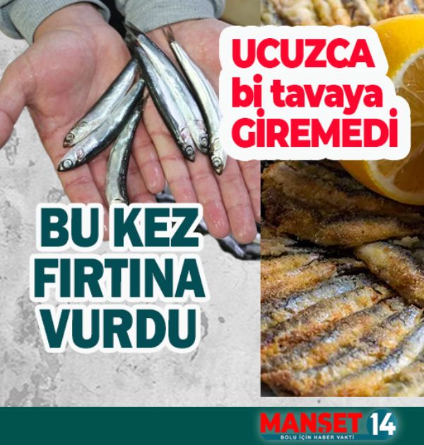 HAMSİ DURDUĞU YERDE DURMUYOR!