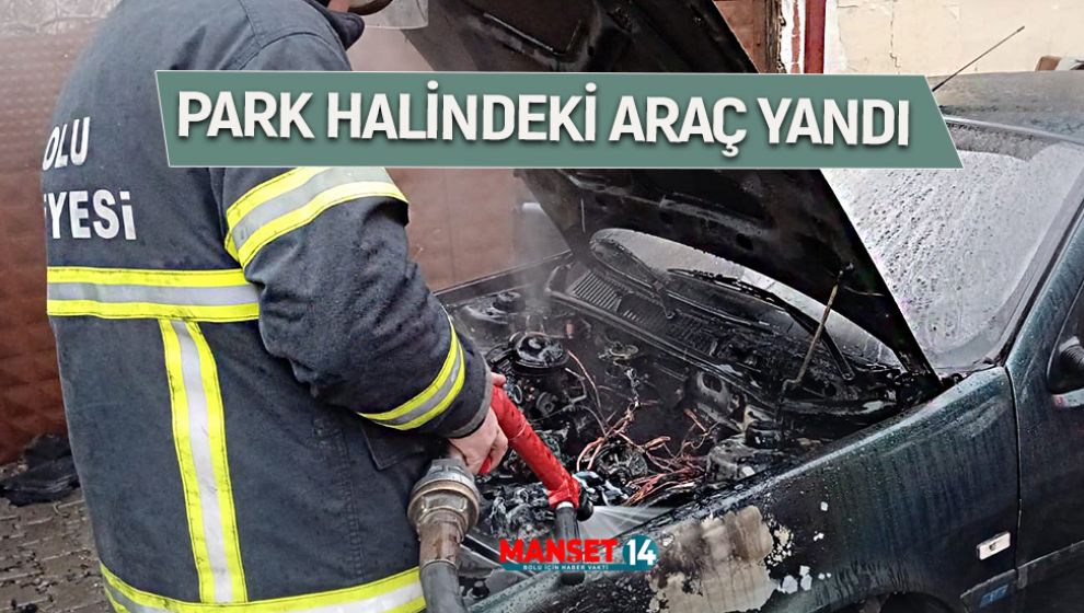 PARK HALİNDEKİ ARAÇ YANDI