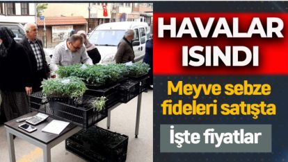 HAVALAR ISINDI. İŞTE MEYVE SEBZE FİDE FİYATLARI