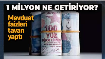 MEVDUAT FAİZLERİ ÇILDIRDI. 1 MİLYON TL BANKADAN NE GETİRİYOR?