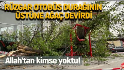 RÜZGAR OTOBÜS DURAĞININ ÜSTÜNE AĞAÇ DEVİRDİ