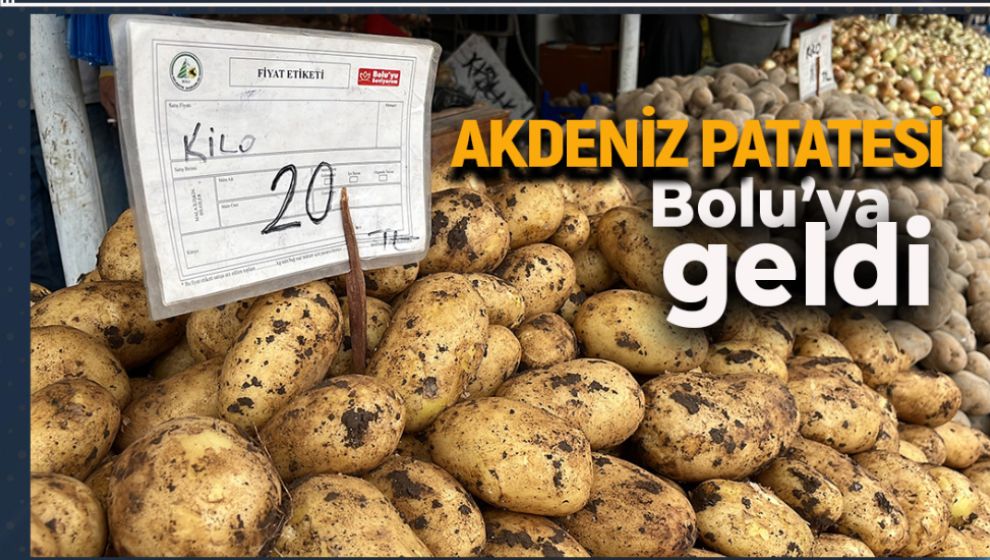 BOLU'DA PATATES FİYATLARI NE DURUMDA?