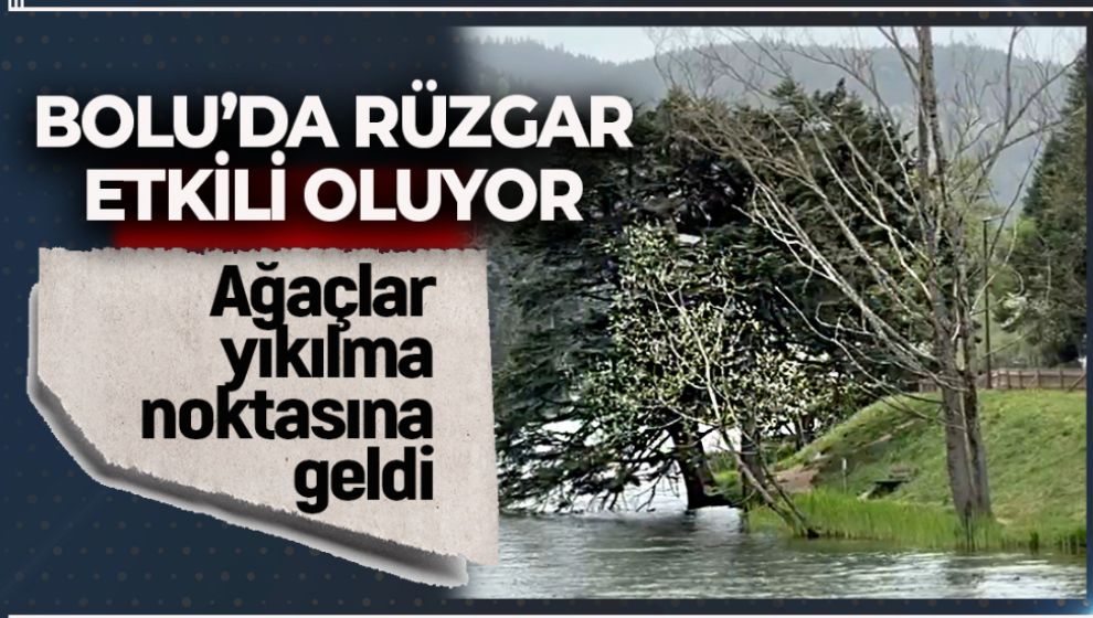 SON DAKİKA.. BOLU'DA ŞİDDETLİ RÜZGAR ETKİLİ OLUYOR