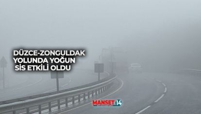 DÜZCE-ZONGULDAK YOLUNDA YOĞUN SİS ETKİLİ OLDU