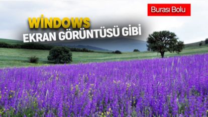 EKTİĞİ MACAR FİĞİ ORTAYA  EŞSİZ GÖRÜNTÜ ÇIKARDI
