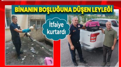 BİNANIN BOŞLUĞUNA DÜŞEN LEYLEĞİ İTFAİYE KURTARDI