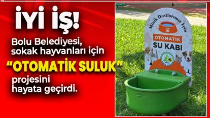 BOLU BELEDİYESİNDEN SOKAK HAYVANLARI İÇİN MÜTHİŞ GÜZELLİK
