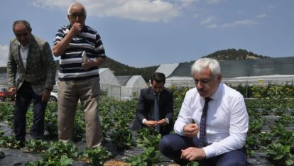 MUDURNU'DA İSTİHDAM İÇİN ‘HÜNERLİ ELLER PROJESİ'