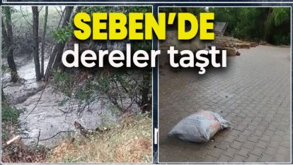 SEBEN'DE SAĞANAK SEBEBİYLE DERELER TAŞTI