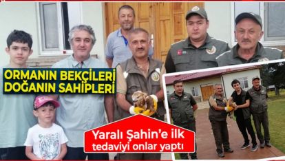 YARALI HALDE BULUNAN ŞAHİN'E İLK MÜDAHALE ORMANCILARDAN