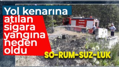 YOLA ATILAN İZMARİT ORMANI YAKACAKTI