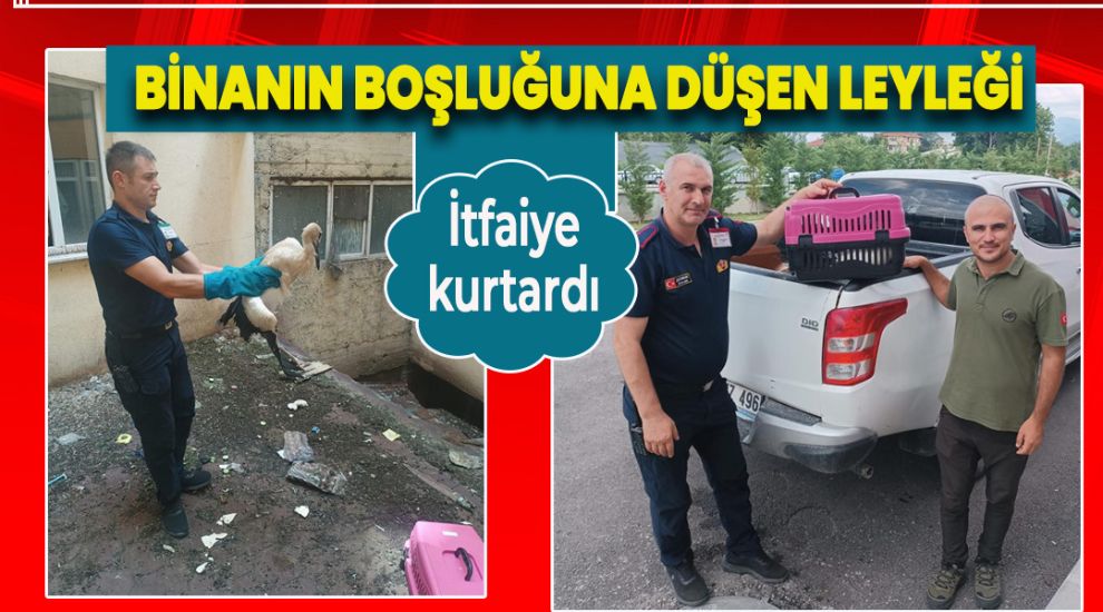 BİNANIN BOŞLUĞUNA DÜŞEN LEYLEĞİ İTFAİYE KURTARDI