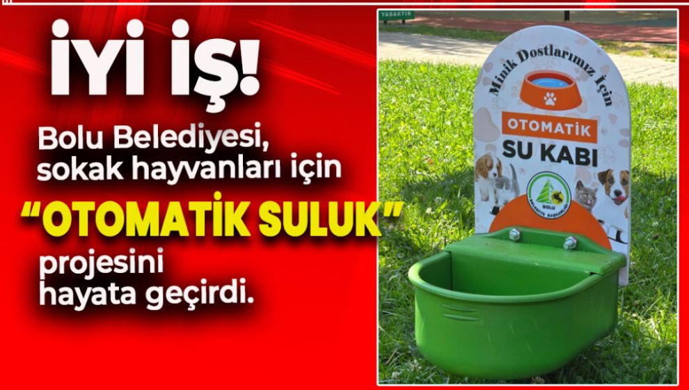 BOLU BELEDİYESİNDEN SOKAK HAYVANLARI İÇİN MÜTHİŞ GÜZELLİK