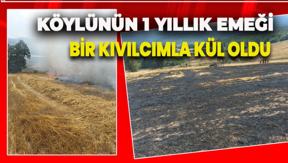 KÖYLÜNÜN BİR YILLIK EMEĞİ BİR KIVILCIMLA KÜL OLDU