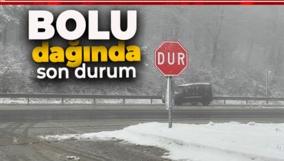 BOLU DAĞI'NDA KAR YAĞIŞI VE SİS ETKİLİ OLUYOR