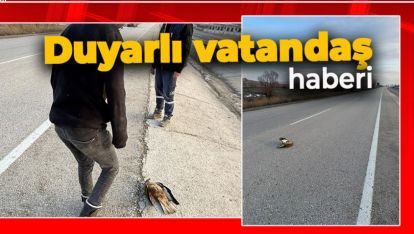 OTOMOBİL ÇARPMIŞTI. DİĞER SÜRÜCÜLER YARDIMINA KOŞTU
