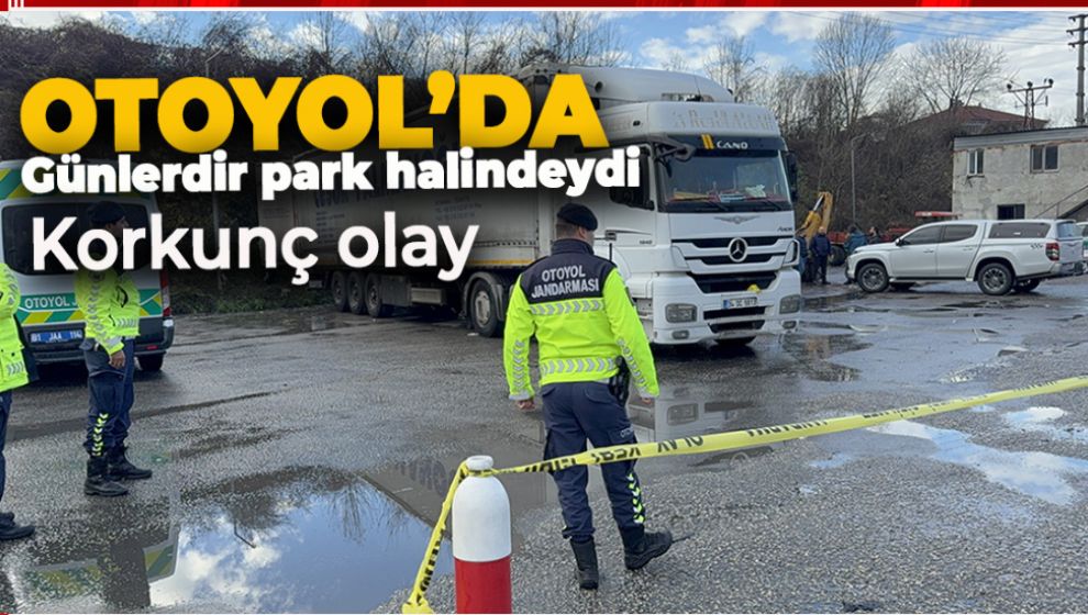 PARK HALİNDE TIRIN DORSESİNDE ACI SON!