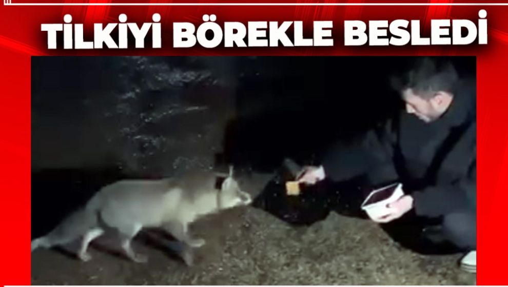 VATANDAŞLAR TİLKİYİ BÖREKLE BESLEDİLER
