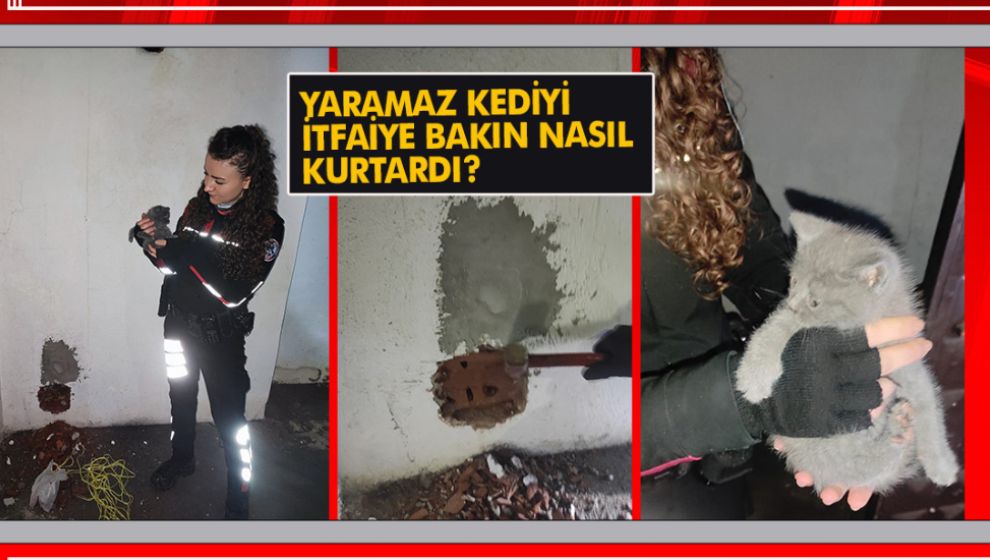 YARAMAZ KEDİYİ İTFAİYE BAKIN NASIL KURTARDI?