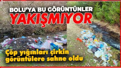 ÇÖP YIĞINLARI ÇİRKİN GÖRÜNTÜLERE SAHNE OLDU