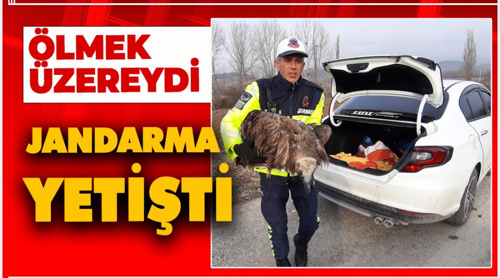 ÖLMEK ÜZERE OLAN AKBABA'YI JANDARMA KURTARDI