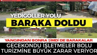 BAHAR GELDİ YEDİGÖLLER YOLU BARAKALARLA DOLDU!
