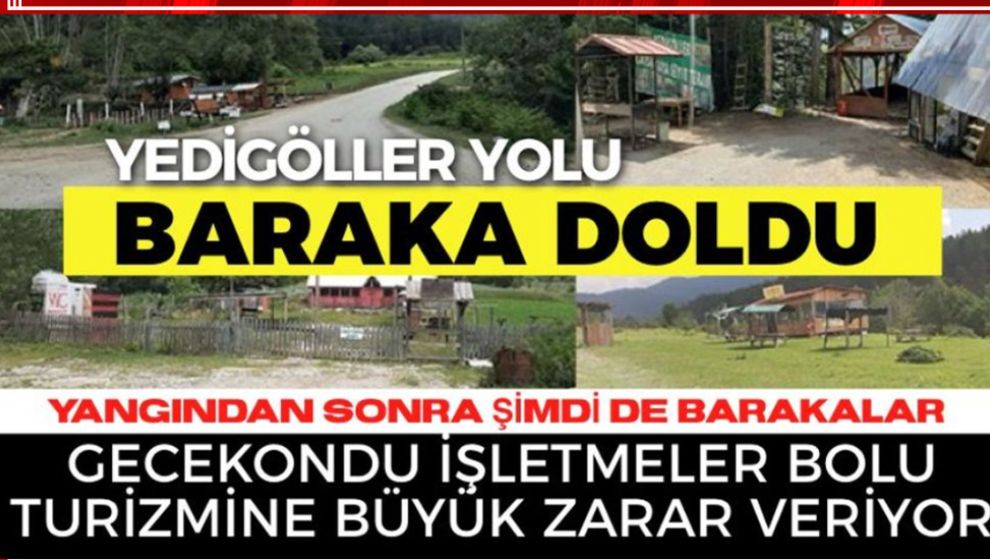 BAHAR GELDİ YEDİGÖLLER YOLU BARAKALARLA DOLDU!