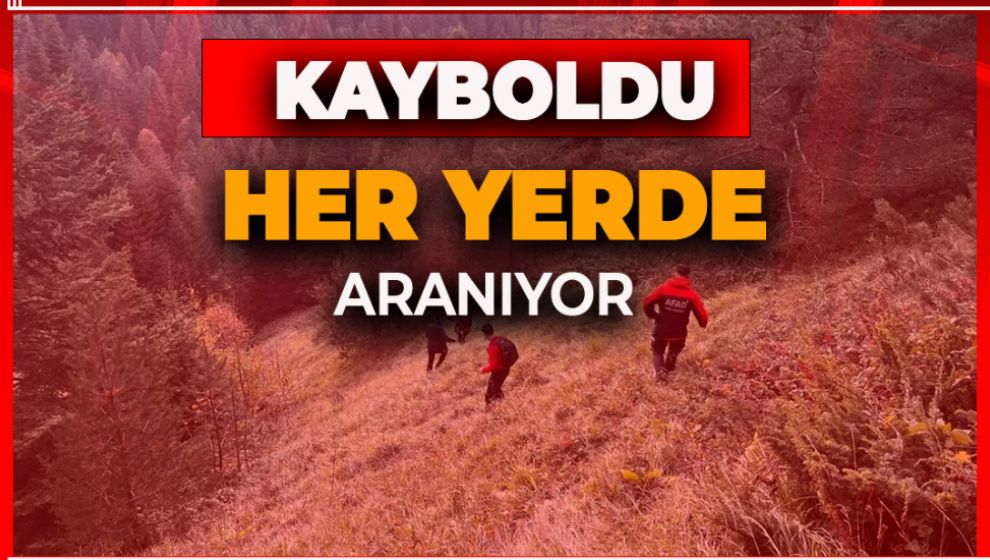 BOLU'DA KAYBOLAN KADIN HER YERDE ARANIYOR