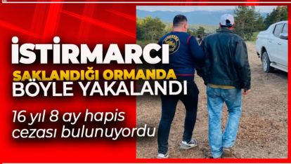 BOLU'DA ORMANDA SAKLANAN İSTİSMARCI YAKALANDI!
