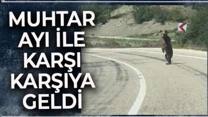 BOLU'DA MUHTAR YOLDA AYI İLE KARŞI KARŞIYA GELDİ. İŞTE O ANLAR