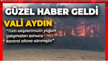 GÖYNÜK YANGININDA GÜZEL HABERİ VALİ AYDIN VERDİ