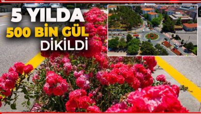 PARK BAHÇELER BOLU'DA HER YERİ RENKLENDİRDİ