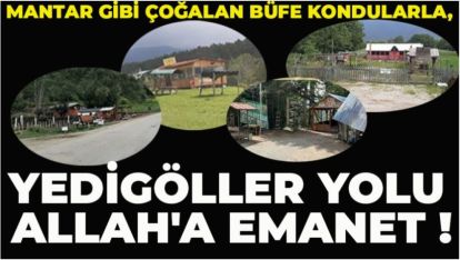 YEDİGÖLLER YOLU DERME ÇATMA BARAKALARLA ALLAH'A EMANET