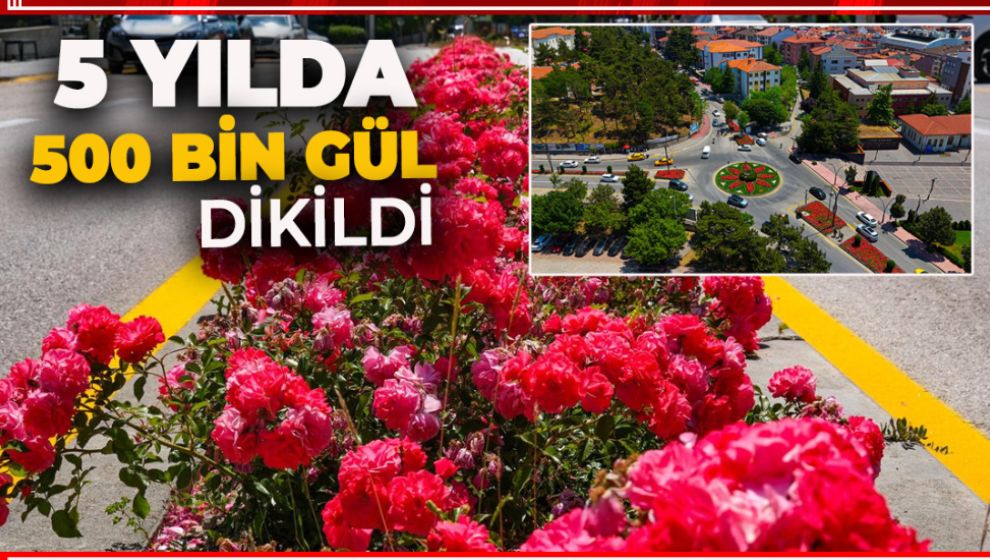 PARK BAHÇELER BOLU'DA HER YERİ RENKLENDİRDİ