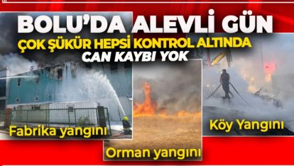 BOLU ALEVLİ GÜN.. BİR FABRİKA, BİR KÖY, BİRDE ORMAN YANGINI
