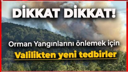 BOLU VALİLİĞİNDEN ORMAN YANGINLARI İÇİN YENİ VE ÖNEMLİ TEDBİRLER