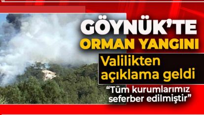 GÖYNÜK'TE KORKUTAN ORMAN YANGINI. VALİLİKTEN AÇIKLAMA GELDİ