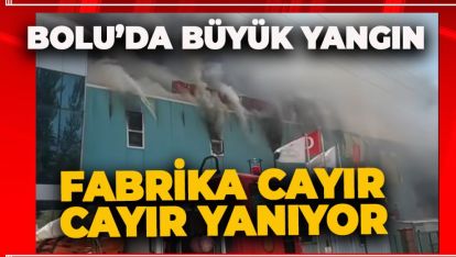 SON DAKİKA... BOLU'DA BÜYÜK FABRİKA YANGINI