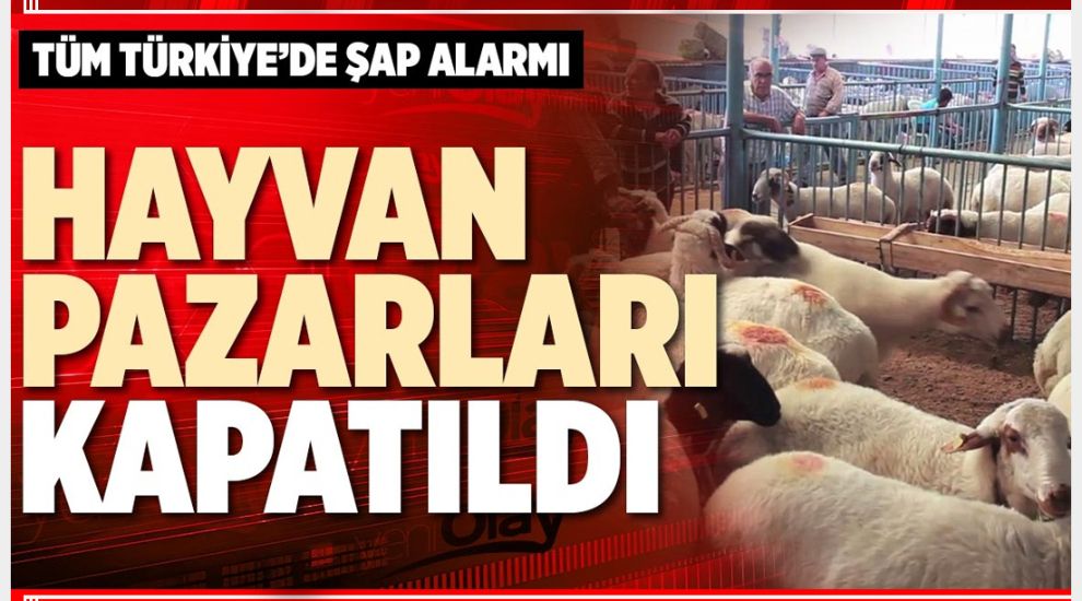 BAKANLIK TÜM HAYVAN PAZARLARINI 