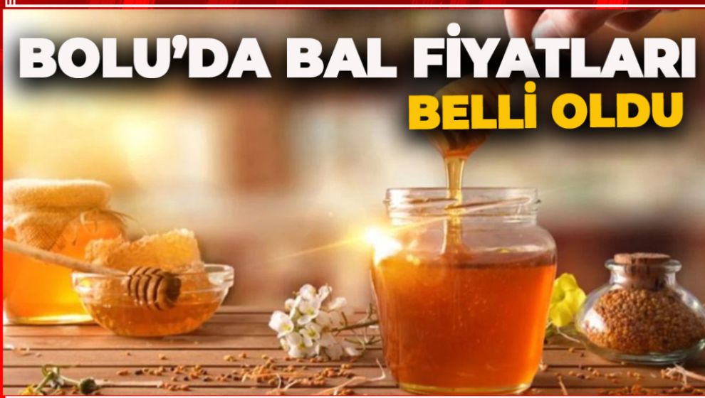 BOLU'DA BAL'IN TABAN FİYATI BELLİ OLDU