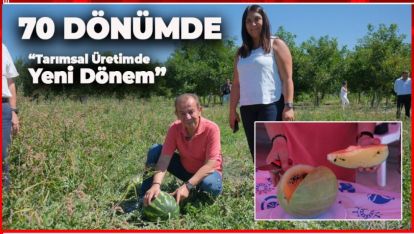 BOLU BELDİYESİNDEN 70 DÖNÜM ARAZİDE KARPUZ VE MOR ÇİLEK ÜRETİMİ