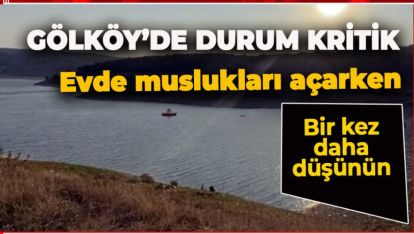 GÖLKÖY'DE SU BİTTİ BİTECEK! KORKUTAN RAKAMLAR GELİYOR