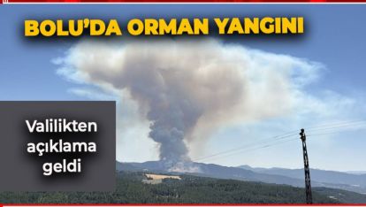 MUDURNU GÖNCEK KÖYÜ YAKINLARINDA BAŞLAYAN YANGINLA İLGİLİ AÇIKLAMA