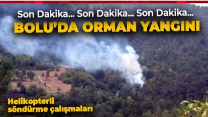 VİDEO HABER...  BOLU'DA ORMAN YANGINI (YENİ GELİŞME. KONTROL ALTINA ALINDI)