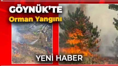YENİ HABER... BOLU GÖYNÜK'TE ORMAN YANGINI BAŞLADI