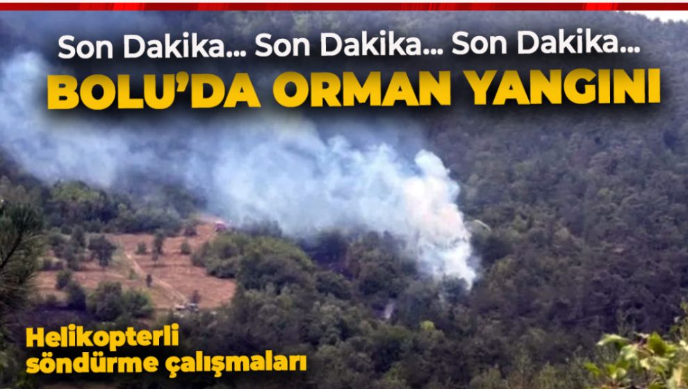 VİDEO HABER...  BOLU'DA ORMAN YANGINI (YENİ GELİŞME. KONTROL ALTINA ALINDI)