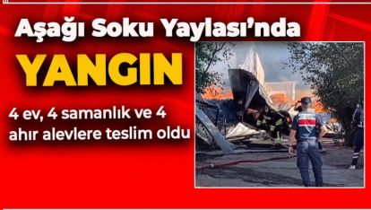ALADAĞLAR MEVKİSİNDE KORKUTAN YANGIN: KUNDAKLAMA MI?