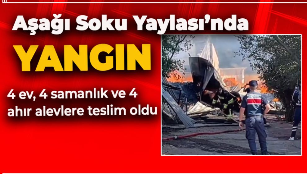 ALADAĞLAR MEVKİSİNDE KORKUTAN YANGIN: KUNDAKLAMA MI?