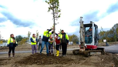 BOLU BELEDİYESİ'NDEN 102 YAŞINDAKİ CUMHURİYET İÇİN 102 ÇINAR AĞACI
